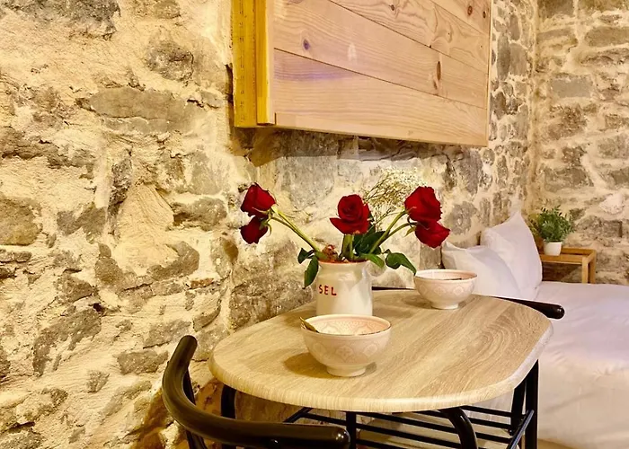 Julia Καρκασόν