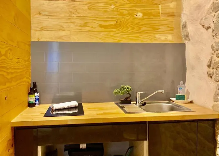 Julia Καρκασόν